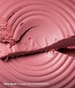 Discount CAIA Cosmetics GLOW KIT