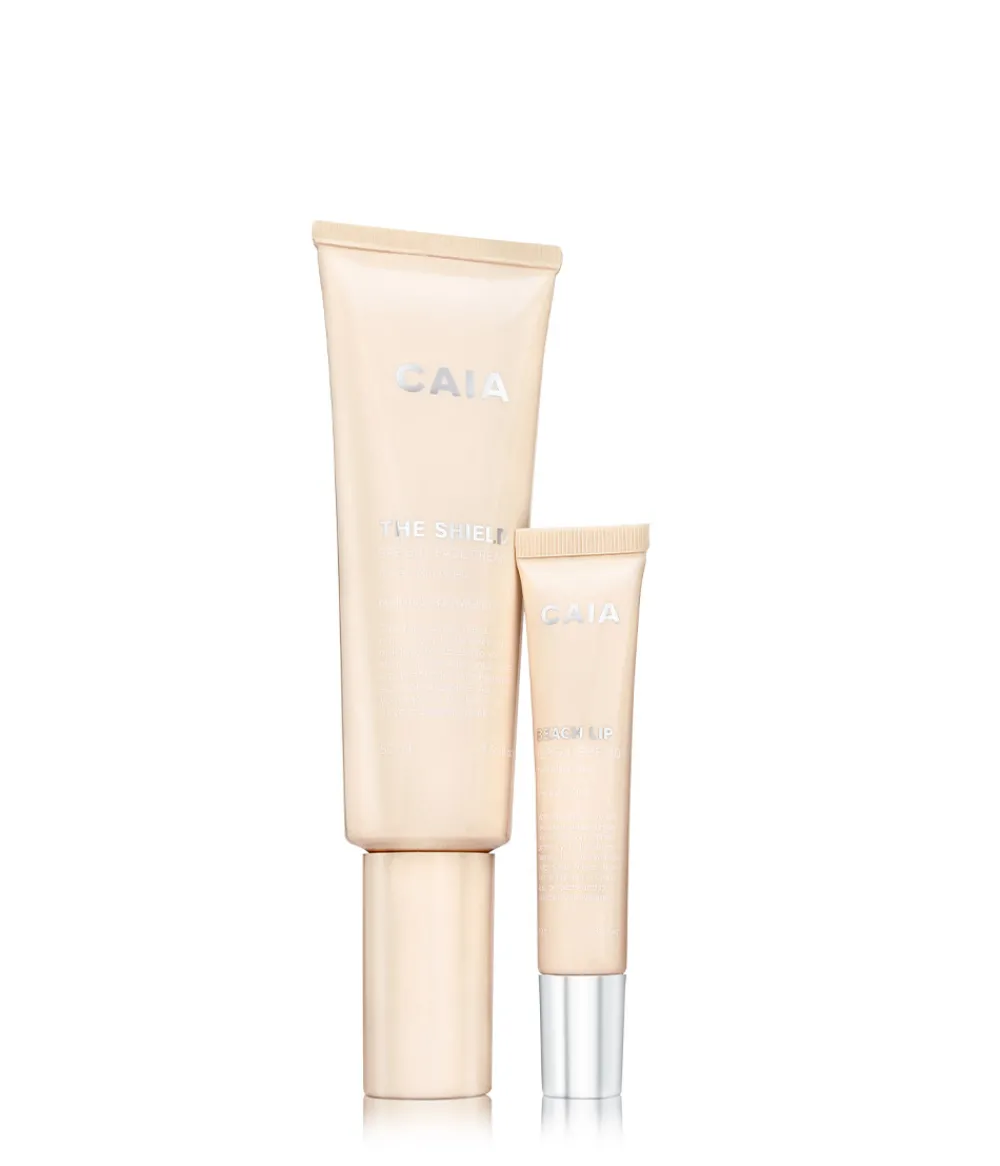 Sale CAIA Cosmetics GOT YOU COVERED KIT