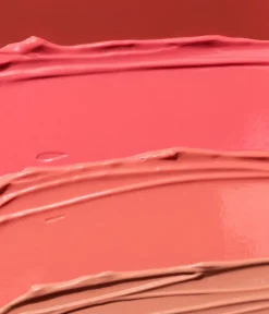Discount CAIA Cosmetics MAKE ME BLUSH KIT