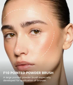 New CAIA Cosmetics POINTED POWDER BRUSH F10