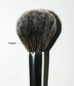 Hot CAIA Cosmetics THE SASSY WAY