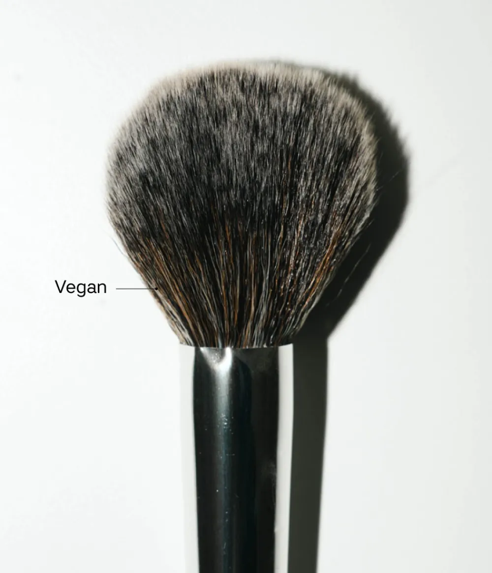 Hot CAIA Cosmetics THE SASSY WAY